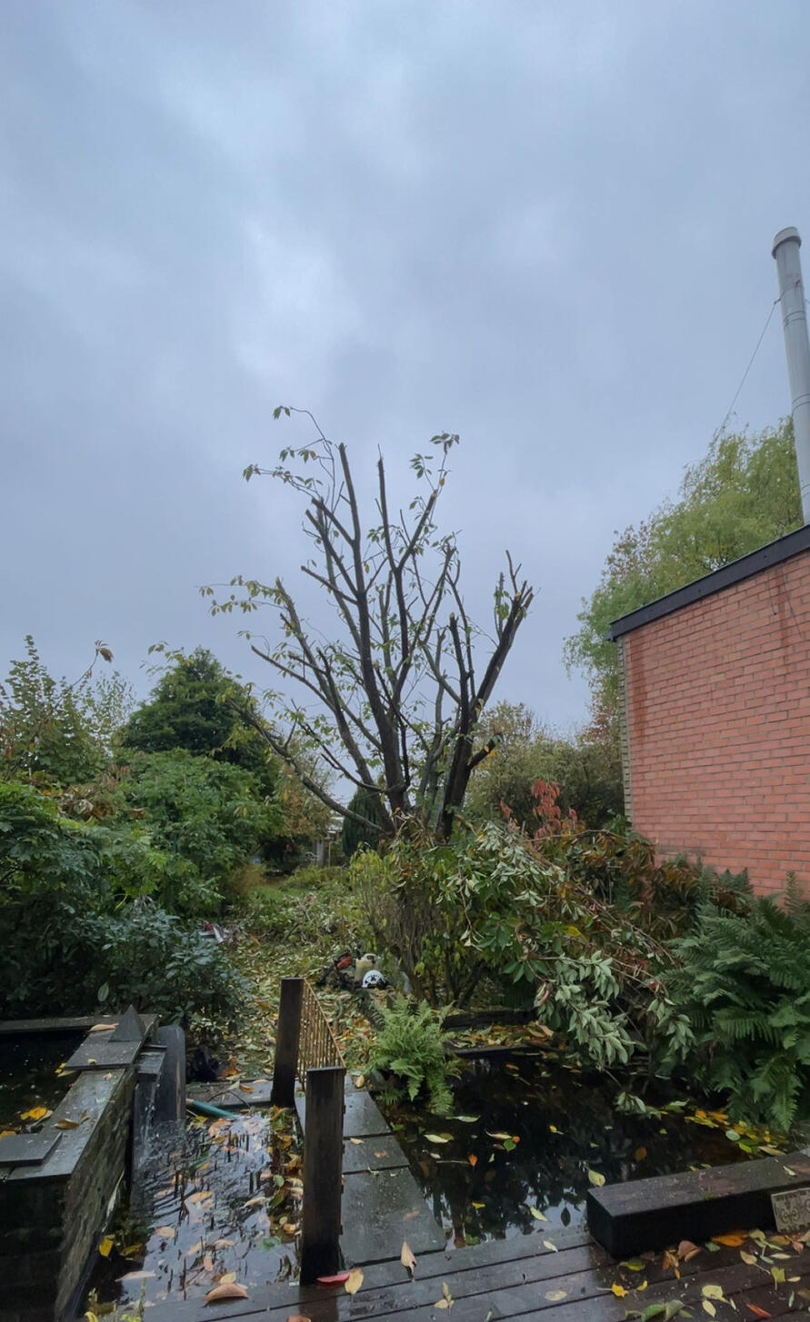 Jardin Express-Arnaud Defays