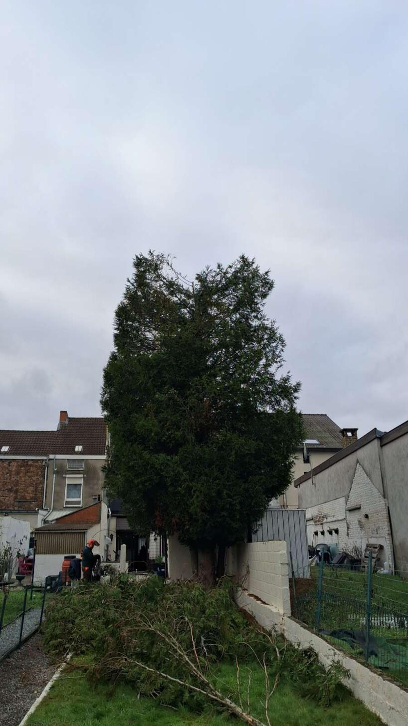 Jardin Express-Arnaud Defays