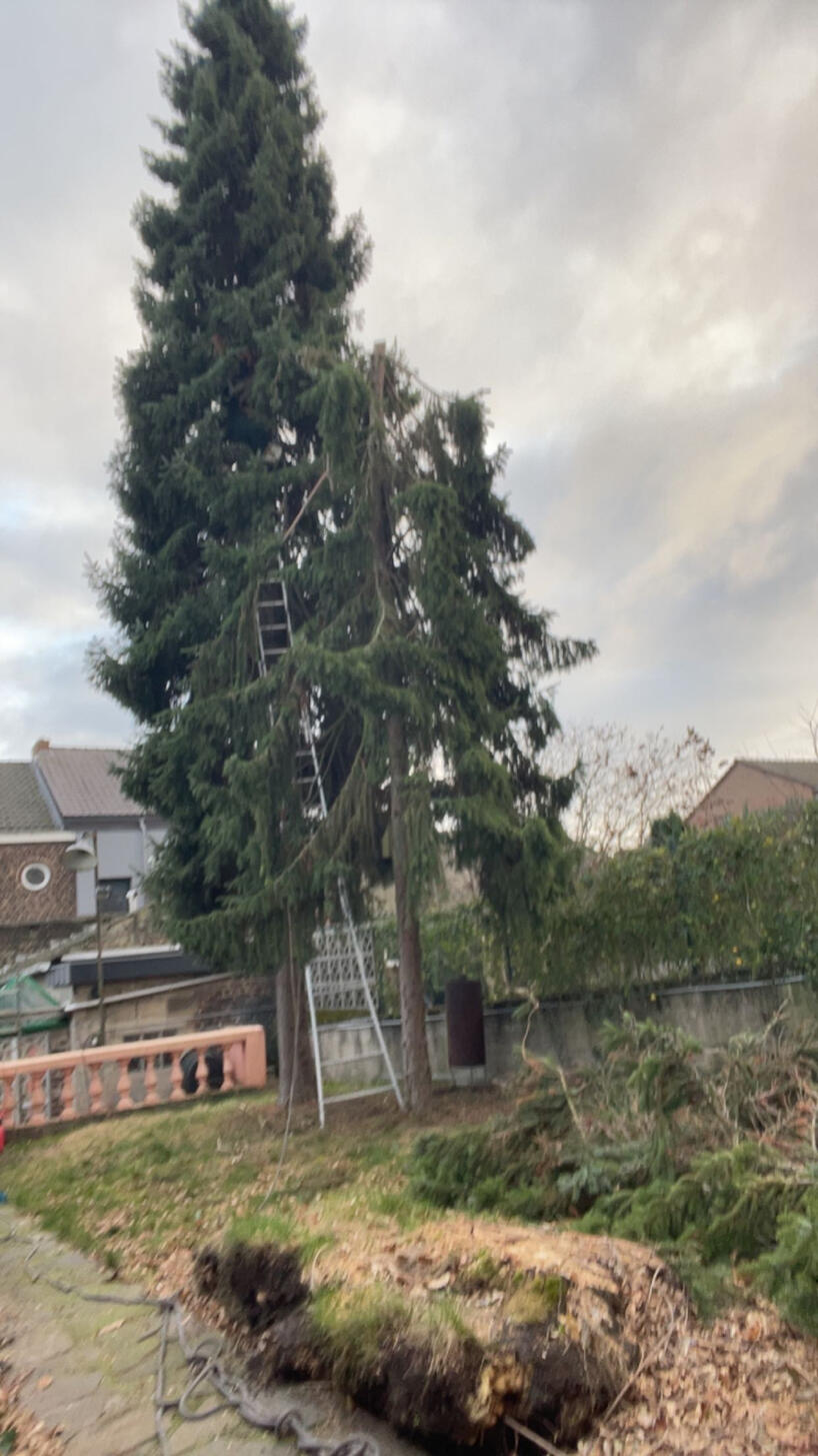 Jardin Express-Arnaud Defays