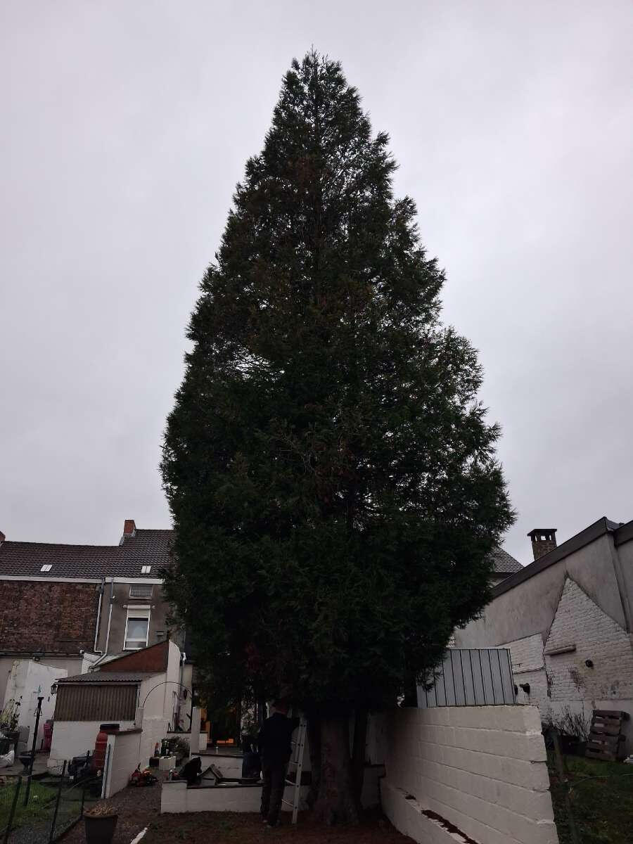 Jardin Express-Arnaud Defays