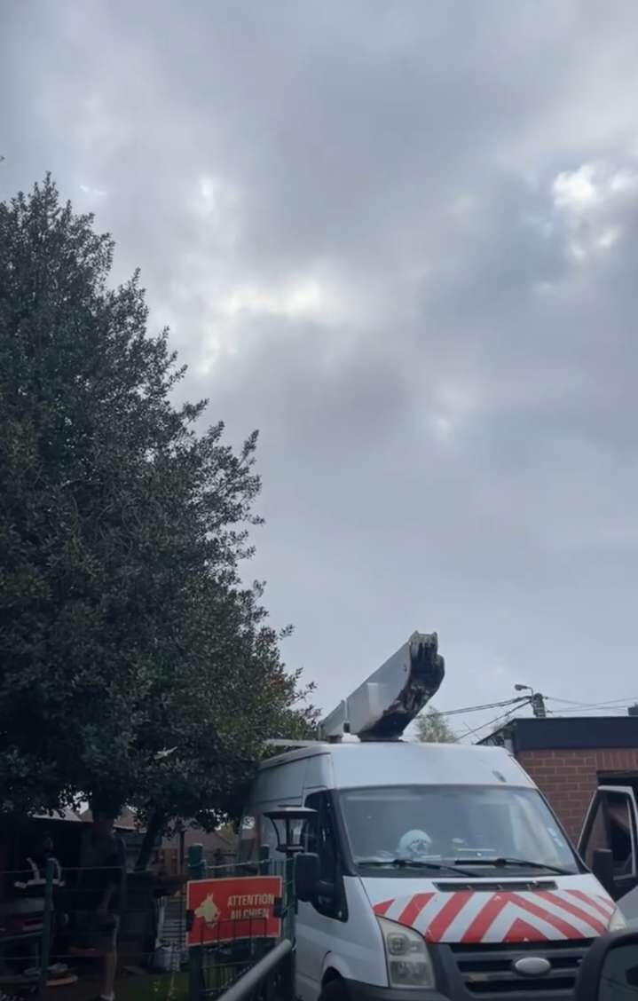 Avec nacelle Travaille avec nacelle