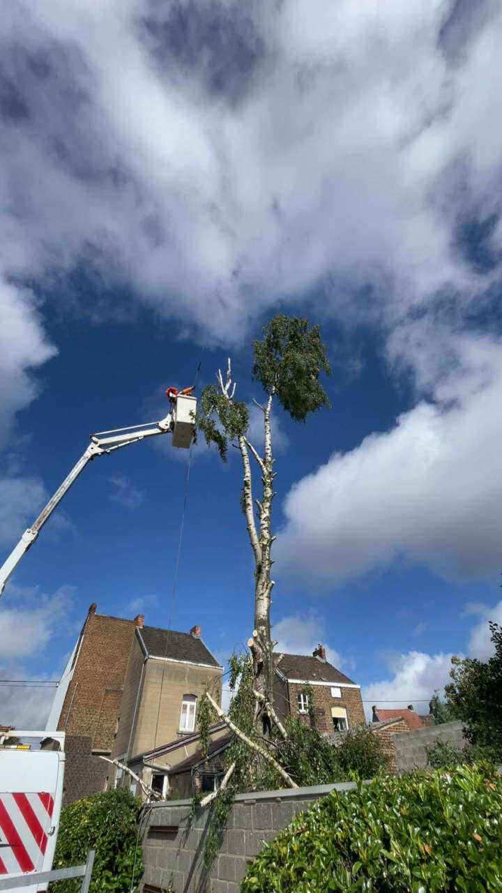 Avec nacelle Travail avec nacelle
