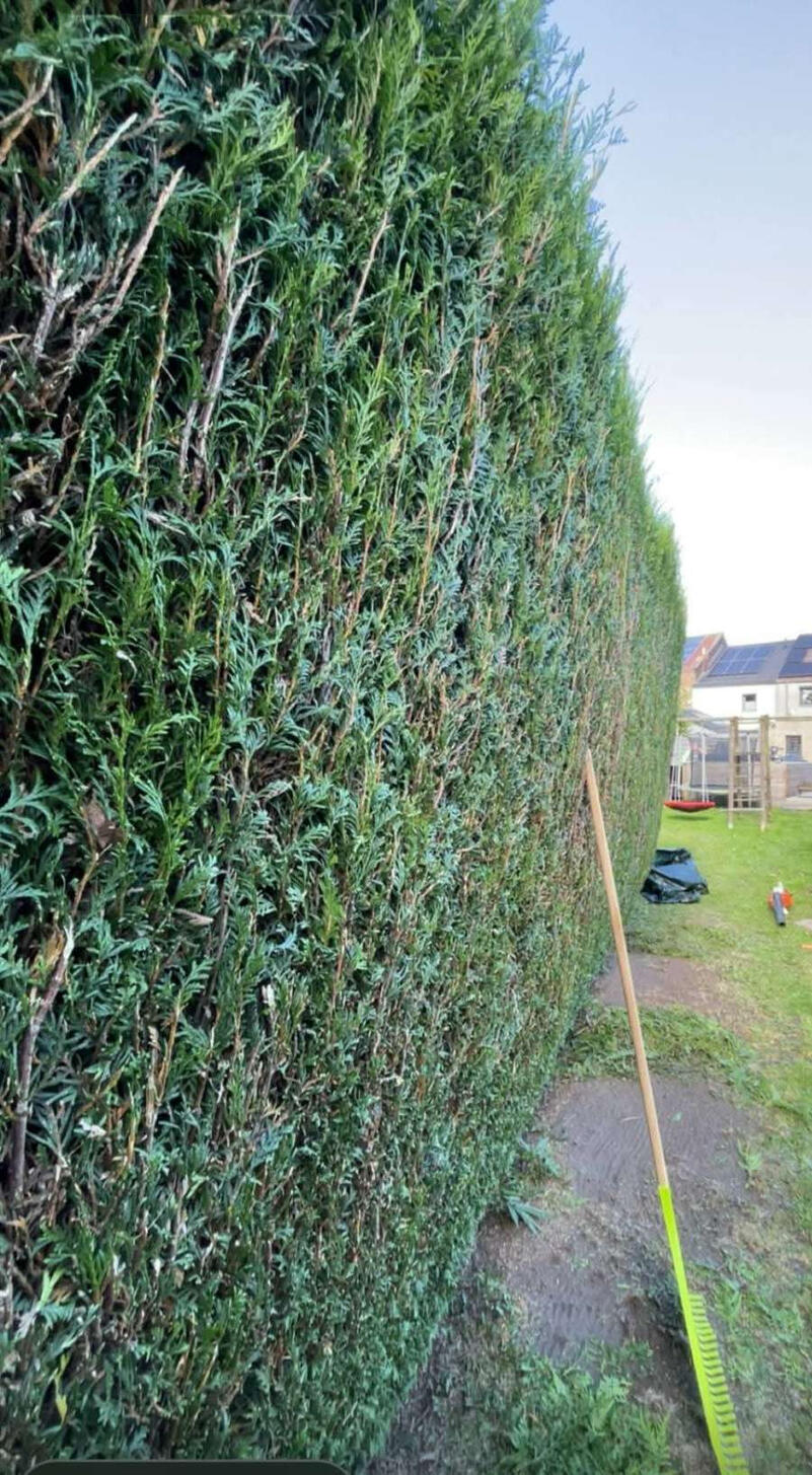 Après Jardin Express-Arnaud Defays