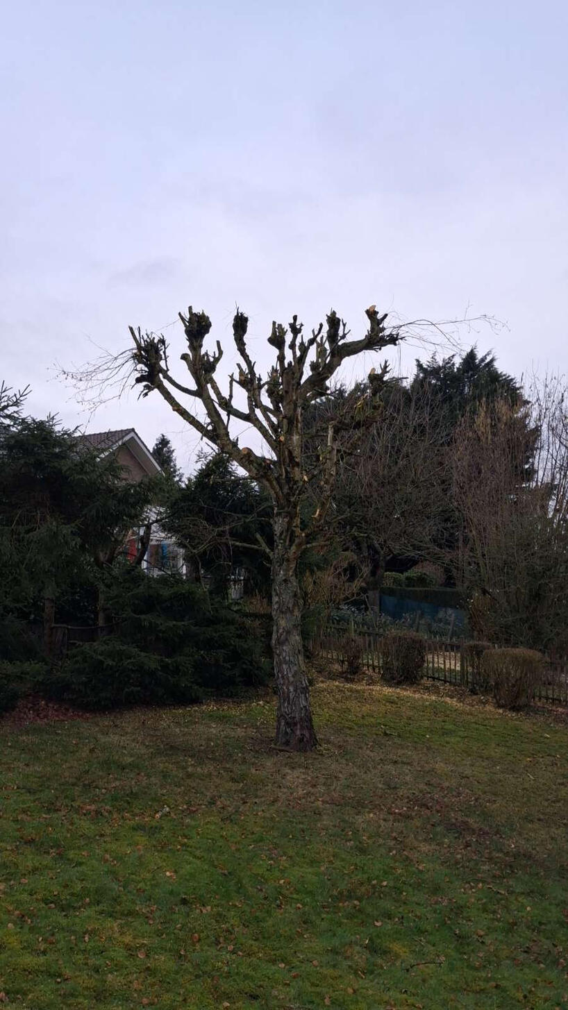 Jardin Express-Arnaud Defays