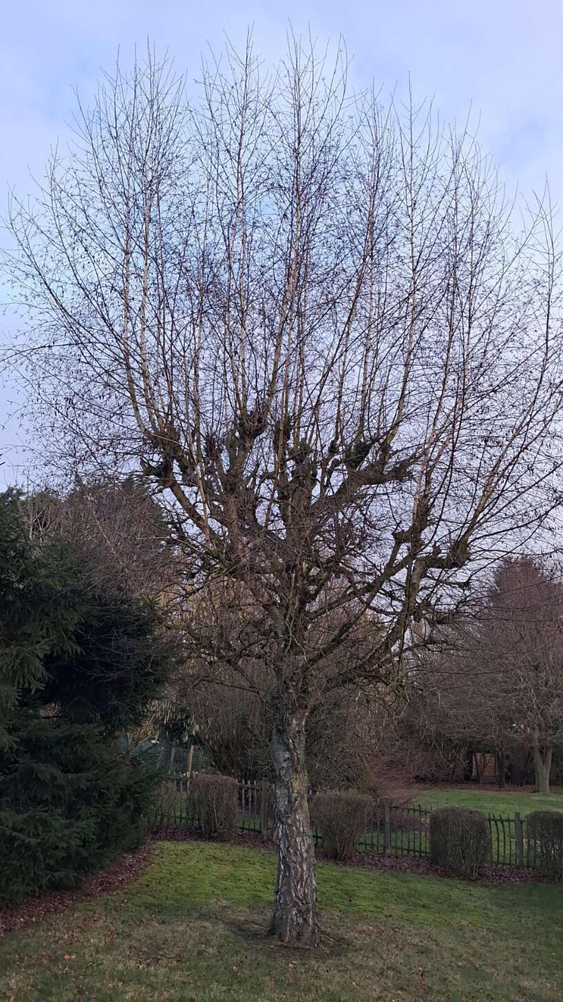 Jardin Express-Arnaud Defays